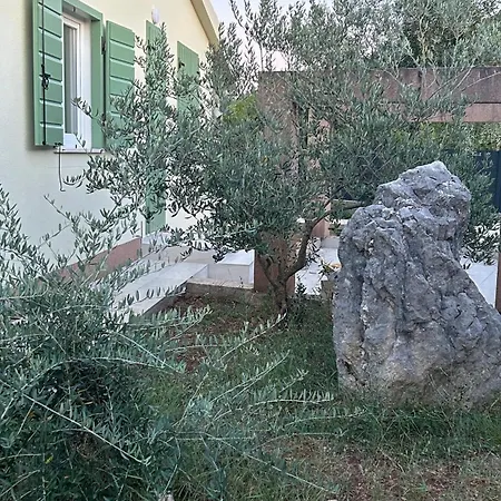 Kuca Mustra בית נופש *