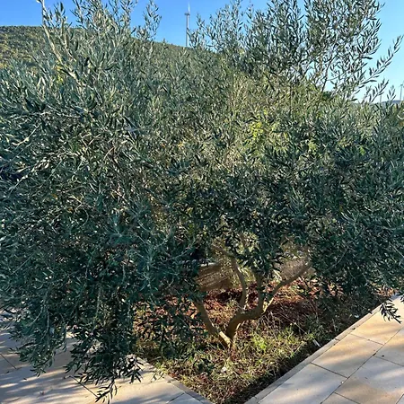 Casa vacanze Kuca Mustra *