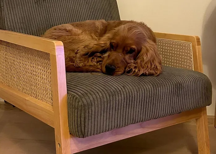 Kuca Mustra Tatil Evi *